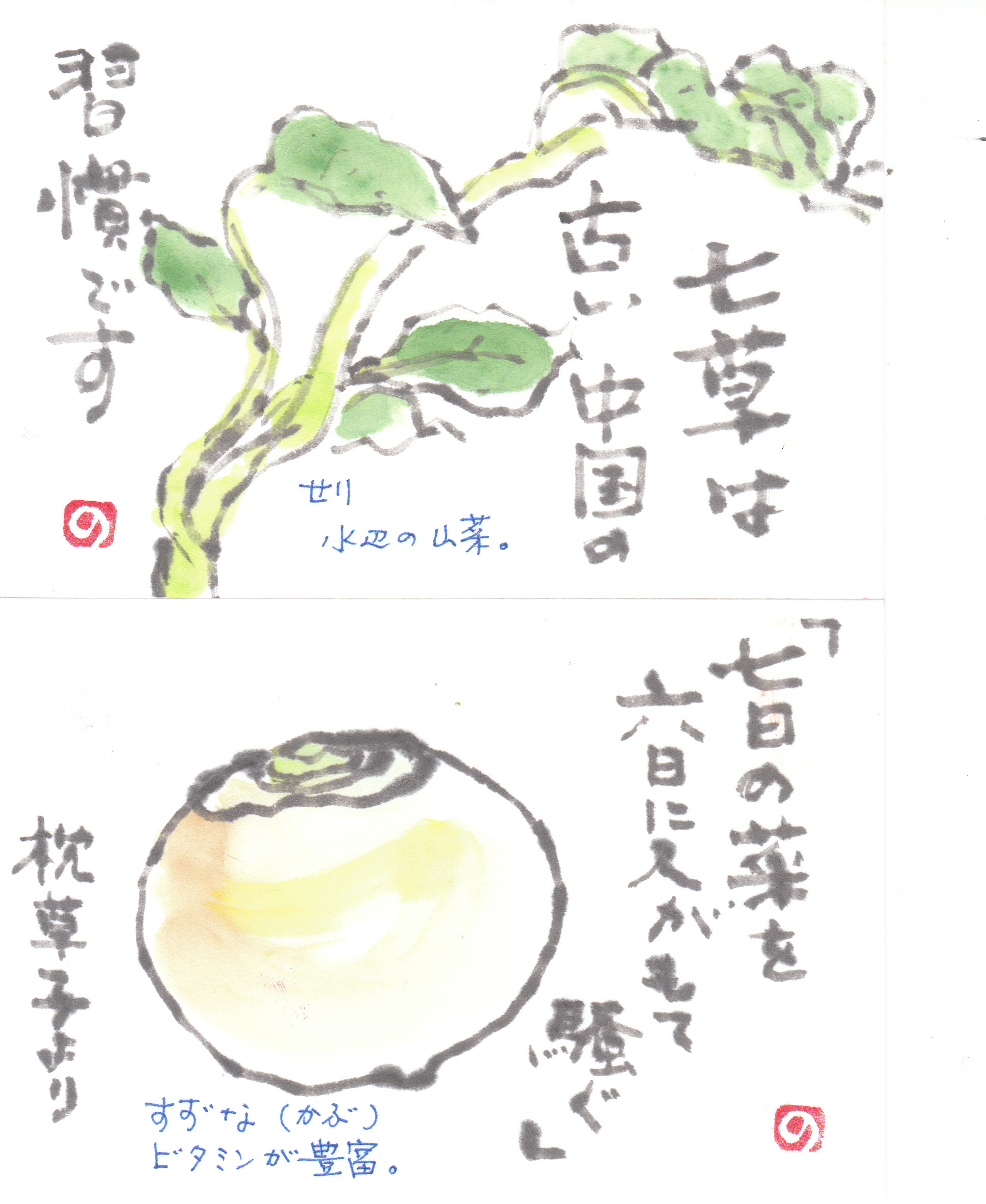 春の七草の絵手紙 こころ遊び日記